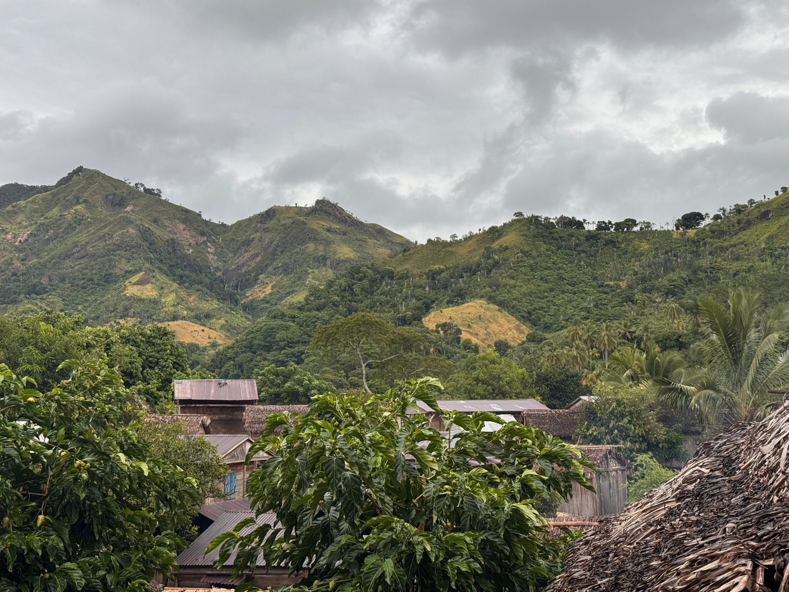 Terroir de Madagascar