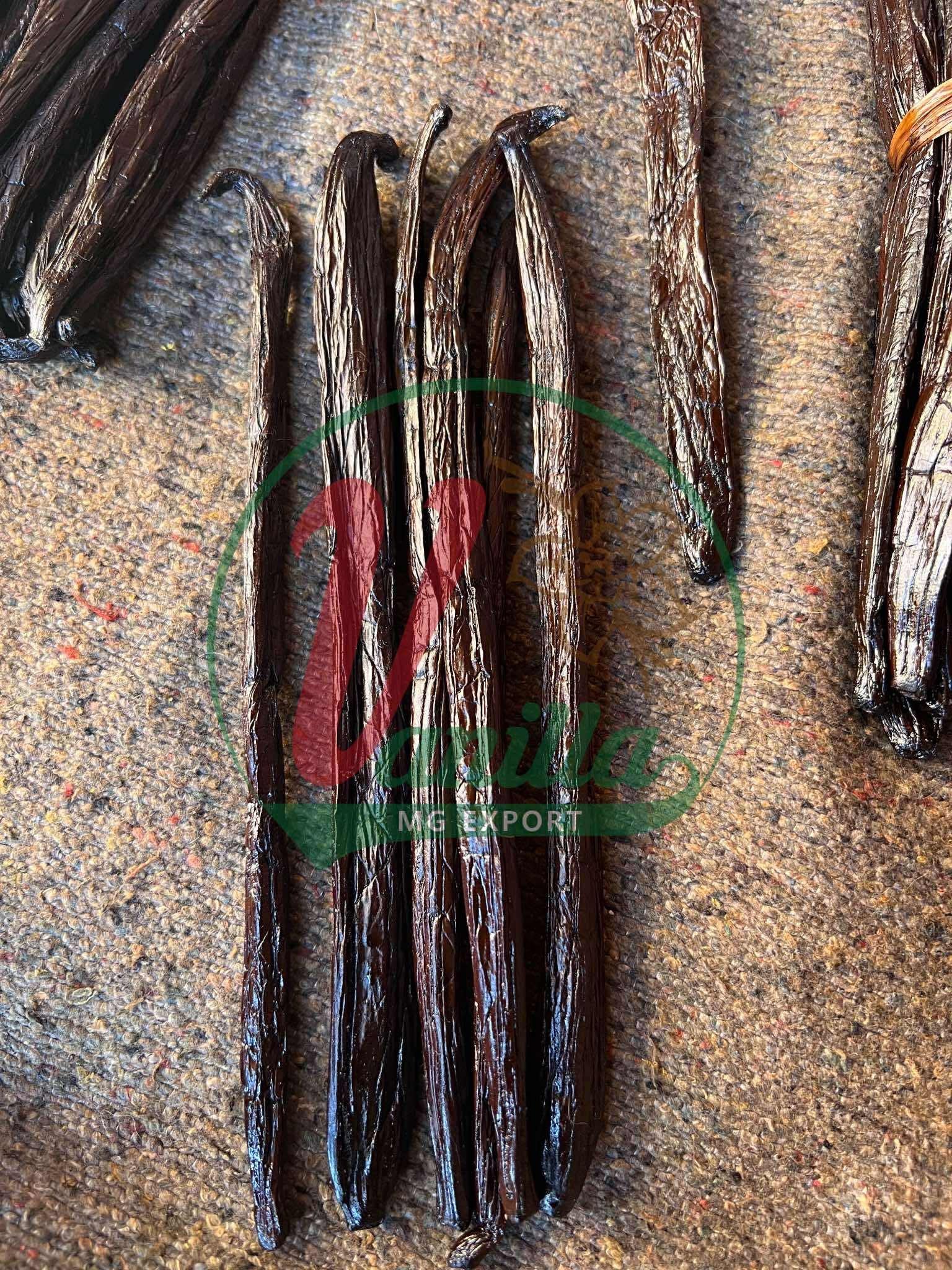 Vanille Mexique de Madagascar – Qualité Professionnelle